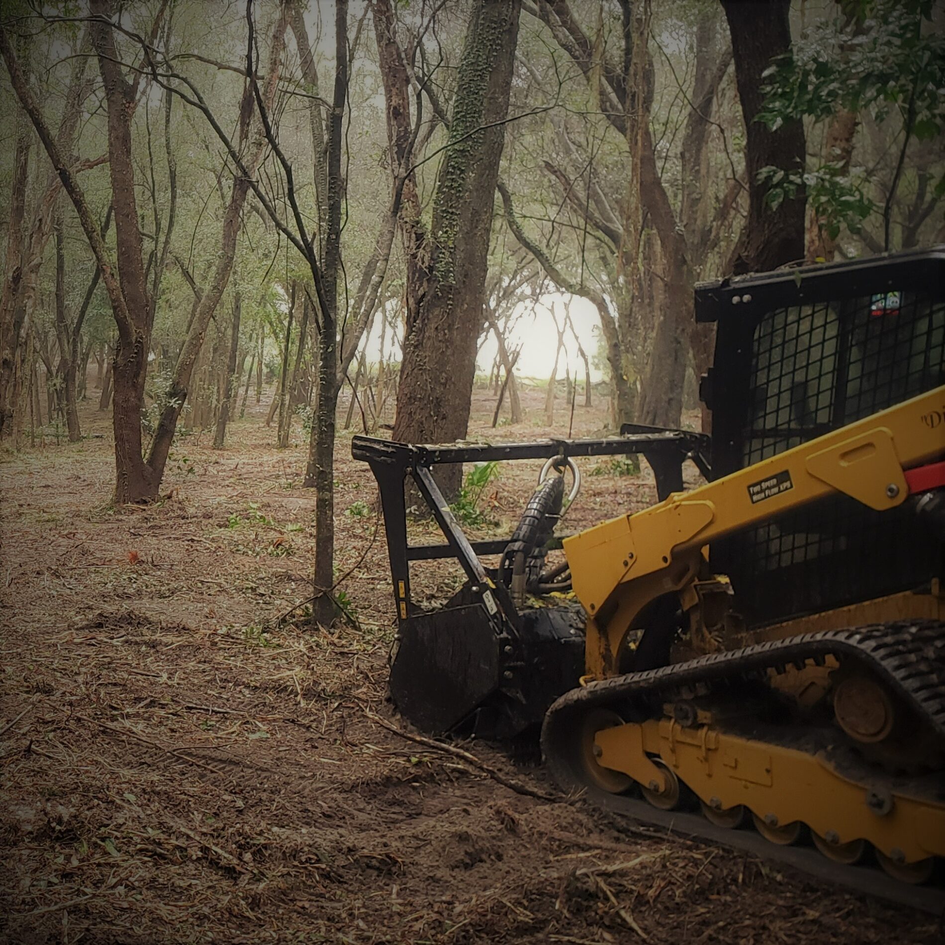 A CAT forestry mulcher in a wooded area.