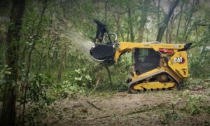 Forestry Mulcher in Action