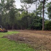 land clearing