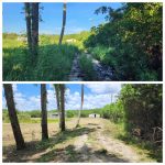 Before & after land clearing photo of a road leading to house by ShadowCat Services.