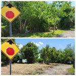 A before and after photo of forestry mulching by ShadowCat Services in Deland, FL.