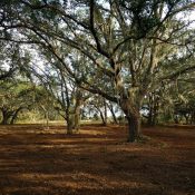 land grading services