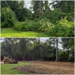 bush hogging before and after