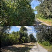 land clearing before and after