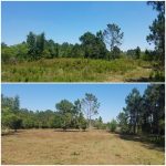 land clearing before and after