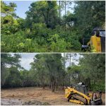 land claring before and after