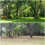 land clearing before and after