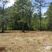 land clearing services