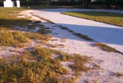 land leveling services