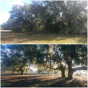 Before-and-After Image