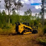 Forestry Mulching-ShadowCat