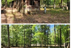 Abandoned Mobile Home Demolition