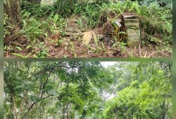 Hurricane Damaged Mobile Home Removal