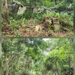 Hurricane Damaged Mobile Home Removal