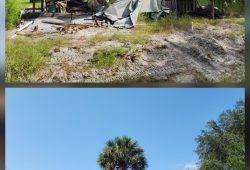 Collapsed Structure Removal